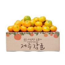 제주 햇 감귤 9kg 소과, 상세페이지 참조, 10kg