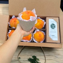 [당도선별] 고당도 황도 복숭아 로얄과, 최고급 황도 복숭아 3Kg (중과)12과내외, 1개