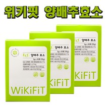 위키핏 EGC 양배추효소 곡물 발효 빠른 소화 효소, 90g, 3개