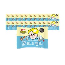 늘바름 인기견과 요거트프렌즈18g(20봉) 슈퍼푸드, 1세트