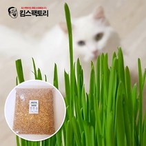 캣그라스 씨앗 보리 밀 귀리 3종 1kg 고양이풀 캣글라스 키우기 고양이 영양간식, 06. 씨앗 1kg-밀