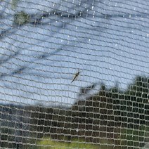 국산 방충망 교체 모기장 원단 40x40cm 소형 국방색, 1개