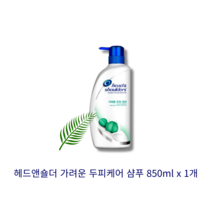 [본사 정품] HEAD & SHOULDER 헤드앤숄더 가려운 두피케어 샴푸 850ml 1개 비듬 유분 가려운두피 유칼립투스 두피진정케어 정수리냄새감소 두피각질감소 피록톤올아민