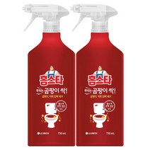홈스타 뿌리는 곰팡이싹 750ml / 염소계 표백성분 함유, 2개입