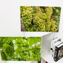 tl651-폼아크릴액자58CmX38Cm_금전복가득한청포도, 이미지2
