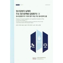 형사입법의 실제와 주요 형사정책별 입법평가 1, 윤지영(저),한국형사 법무정책연구원, 한국형사 법무정책연구원