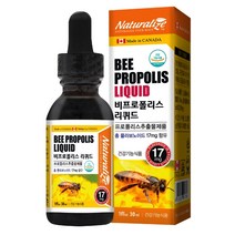 네추럴라이즈 비프로폴리스 리퀴드 30ml, 스프레이형