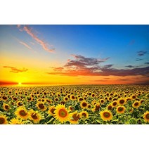 직소퍼즐 80 디자인 나무 퍼즐 5000 조각 중국 만리벽 풍경 성인 선물 상자 직소 156x105cm 최고의 아트 장식 도매, 없음, 17.156x105cm wooden5000