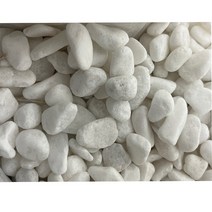 화분백화점 흰돌 백돌 백자갈, 백돌4호(2.5kg)