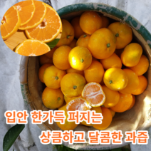 [제주산지직송] 마미템 제주 비가림 하우스 귤 3kg 5kg 10kg 고당도, 감귤3kg(2S-M)