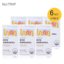 뉴트립 장 건강 6박스 6개월 프로 바이오틱스 좋은 유산균 먹이 10억 다이어트, 뉴트립 전용 쇼핑백(1EA)
