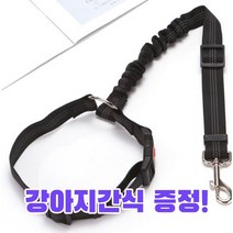 강아지 안전벨트 차량용 반려견 목줄 애견 충격흡수 리드줄, 퍼플+츄르영양제