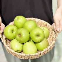 가정용흠집 썸머킹 아오리 소과 2kg 10-13과 여름햇사과