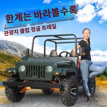 ATV 사륜바이크 사륜 오토바이 전동차 전지형 250축 전동 오프로드 타이거 울프 돌격차 카트, 계약금 잔금 화물도착물류수령