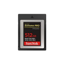 Extreme Pro CFexpress Card 512GB SDCFE-512GB-GN4NN 타입B