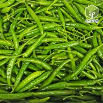 국내산 땡초 청양고추 대량 도매 식자재 10kg, 단품