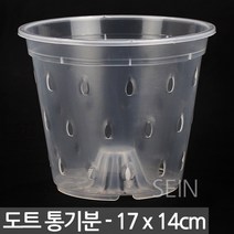 도트 통기난분 17호 - 화분 투명 슬릿 난분 난 동양 서량 포트 플분 플라스틱 란 서양 동양 모종 심기 삽목 분갈이