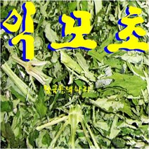 익모초 익모초효능 익모초차 익모초환 익모초가루 익모초진액 익모초티백 생익모초 익모초즙 익모초액기스 황금들녘나라, 1개, 600g 익모초절
