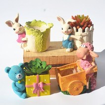 다육이화분 리톱스 아악무 듀가르손 만손초 트리옵스 다육이알뜰장터 다유기 A, 6번