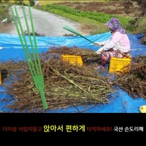 손도리깨 도리깨 플라스틱 깨타작 콩타작 농기구 농자재 깨망 삼태기 국산, 도리깨+농기구자루