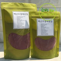 백년초 분말 대용량 500g, 백년초열매분말, 1개
