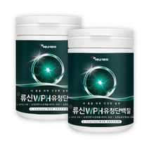노인 어르신 단백질 류신단백질 WPH 유청단백질 분말 WPI L 로이신 구아검 가수분해물 BCAA 식물성 완두단백분말 프로틴 PROTEIN 시니어 60대 70대 80대