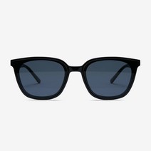 (리에티) 선글라스 ALDO RT 2013 남녀공용 플랫바 2색상