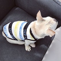 개플룩 댕플룩 강아지 트윈룩 견주 커플룩 여름 고양이 티셔츠, 블루