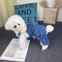 에쉬울프 강아지 애견 봄 패션 올인원 청멜빵바지 데님 소형견 빠삐용, 청색