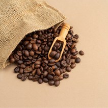 커피박공예 추천순위 TOP50에 속한 제품 목록