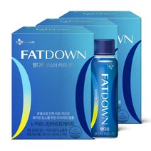 CJ 팻다운 부스터 카르니틴 체지방 감소 운동 피로도 개선 2중기능성 레몬맛, 50ml, 18병
