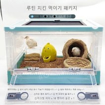 최저가유통업체 고슴도치 쳇바퀴 패드 집 급수 화장실 대형 용품 거북이 만들기 은신처, [소형] 루틴 닭 사육 상자 패키지