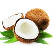 코코넛야자, 베트남 코코넛야자, 1개