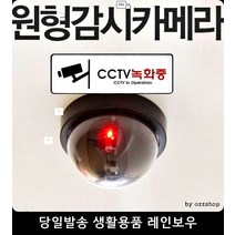 방범 도어경보지 모형CCTV 창문 잠금장치 보안용품 상점용cctv촬영카메라 카메라, 모형감시카메라