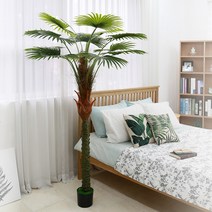 조아트 인조나무 야자수 야자나무 아레카야자 열대나무 조화, 1개, 워싱턴팜 2M