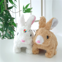 움직이는 인형모음 1+1 귀여운 작동 말따라하는 앵무새 공룡 장난감, A모둠.귀여운+토순이