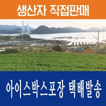 여수돌산갓 생갓 5kg