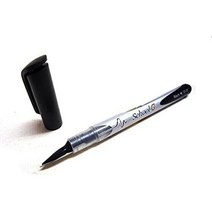 일본직발송 3. 다치카와 핀 제작소 타치카와 신 펜촉 스쿨 GA 블랙 선폭 0.2~0.5MM B000UF94DE, One Size, One Color