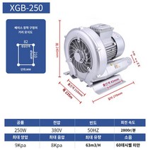 링브로워 고출력 흡입 단상 연못 고압 펌프 송풍기 고압 소용돌이 팬 220V/380V 강력한 산업용 자동 원심 분리기 소용돌이 진공 펌프 물고기 연못 산소, 250W/380V 삼상