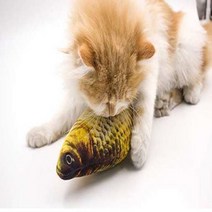 온워드 고양이 생선 장난감 생선인형 캣잎쿠션 캣잎가루 혼자노는 행동유발, 1개, 20cm붕어