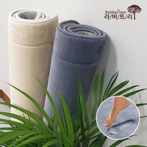 라버트리 라버트리 블란도 극세사 메모리폼 카페트 100×150/멀티카페트