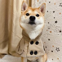강아지 옷 강아지 트렌치 코트 B Shiba Inu Bichon Corgi 방법 싸움 영국 스타일 스트랩 침 수건 개 스카프 윈드 브레이커 망토 판매, 살구, L-대형