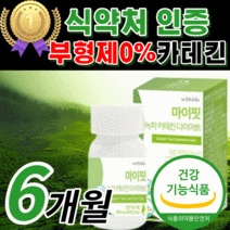 식 약 청 인증 카테킨 다이어트 그린 초록 녹차 추출물 egcg 체 내장 복부 지방 감소 도움 hdl ldl 콜레스테롤 중년 남성 여성 남자 여자 건강 식품 보조제 정품 [라풀굿], 360정(6개월)
