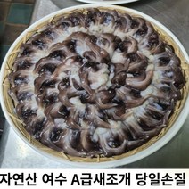 미라클다인 여수 남해 국내산 제철 손질 새조개 1kg 실중량 500g 산지직송, 500그램