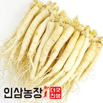 더굿진생 금산 인삼 햇 원수삼 세척 수삼 삼계탕인삼 실속형 업소용 오쿠용, 1개, 세척 원수삼450g(18~24뿌리)