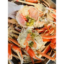 포항 구룡포 대게 살이 꽉찬 대게 8마리, 1개