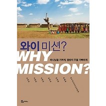 [개똥이네][중고-최상] 와이 미션? WHY MISSION?