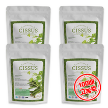 healthway 헬스웨이 시서스가루 100배 농축 추출물 250g 대용량 시저스, 4개, 4개