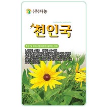 자운영 2g - 야생화 씨앗 꽃씨 씨 꽃씨앗 자운영씨앗 자운영씨 다년생 여러해살이 야생화씨앗 꽃 연화초 홍화채 쇄미제 야화생, 36_다농_천인국(60립)