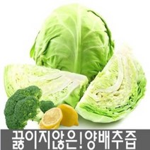 진성식품 물없이100% 순수 양배추즙100ml 50팩/100팩 행사/ 저온착즙, 진성식품 물없이100% 순수 양배추즙100팩, 100ml